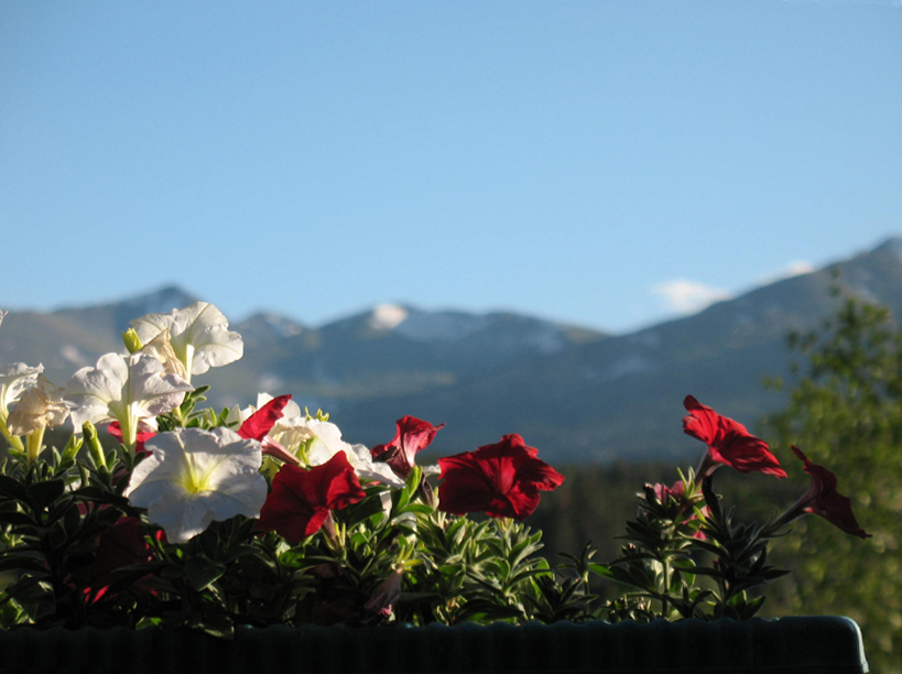 Ten Mile Vista, a Breckenridge neighborhood